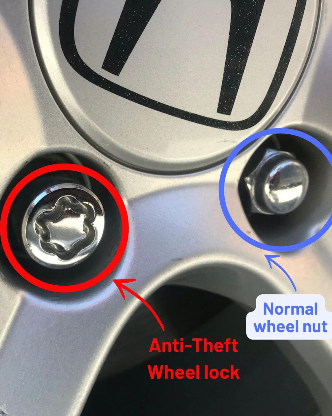 Universal Anti-Theft Wheel Lock - أقفال عجلات مضادة للسرقة