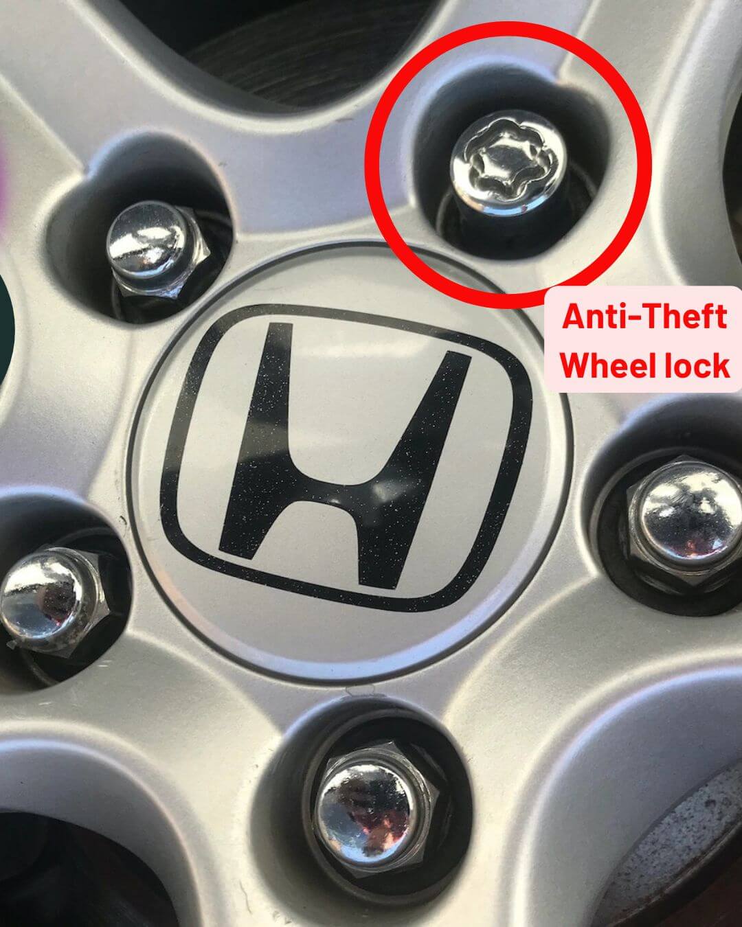 Universal Anti-Theft Wheel Lock - أقفال عجلات مضادة للسرقة